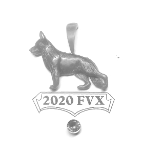(image for) 2020FVX