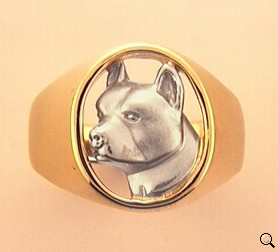 American Staffordshire Terrier Ring - AMST104