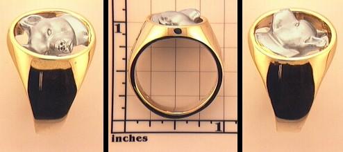 American Staffordshire Terrier Ring - AMST104