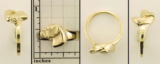 Modal Additional Images for Boxer Ring - BOX178