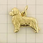 Modal Additional Images for Newfoundland Pendant - NEWF104