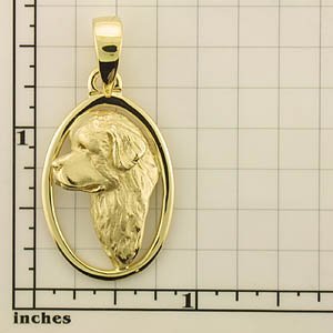 Modal Additional Images for Newfoundland Pendant - NEWF108