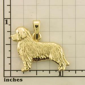 Modal Additional Images for Newfoundland Pendant - NEWF150