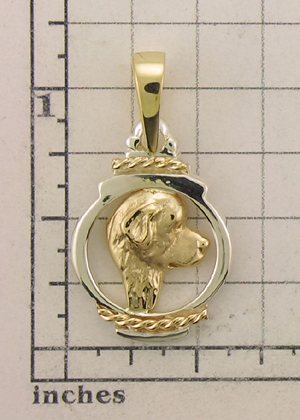 Modal Additional Images for Newfoundland Pendant - NEWF501