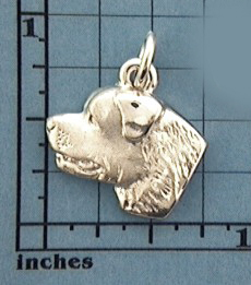 Modal Additional Images for Rottweiler Pendant - SROTT101